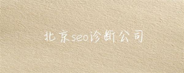 北京seo诊断公司