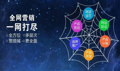 罗城仫佬族自治县网站seo优化排名